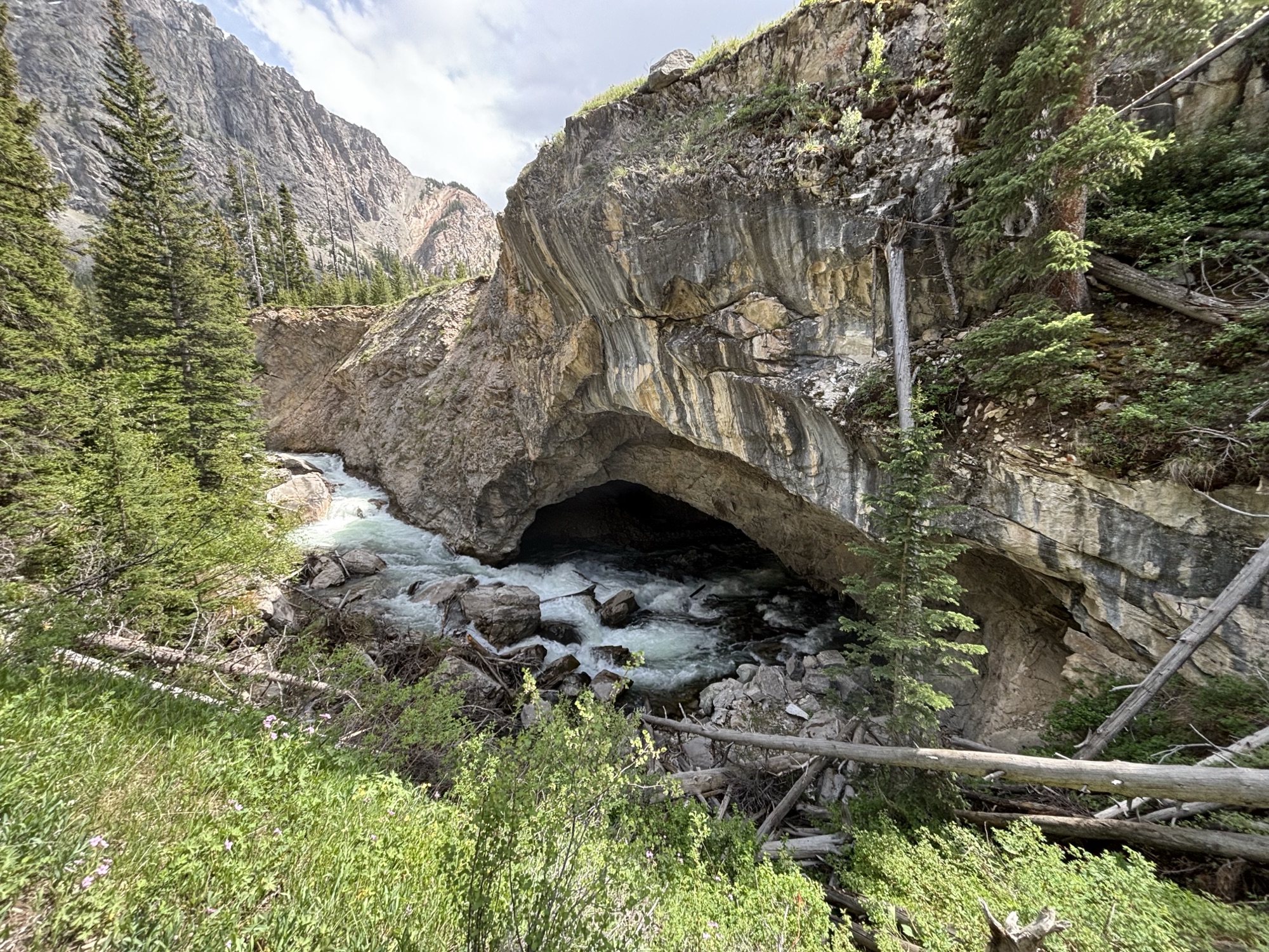 Bridger Wilderness