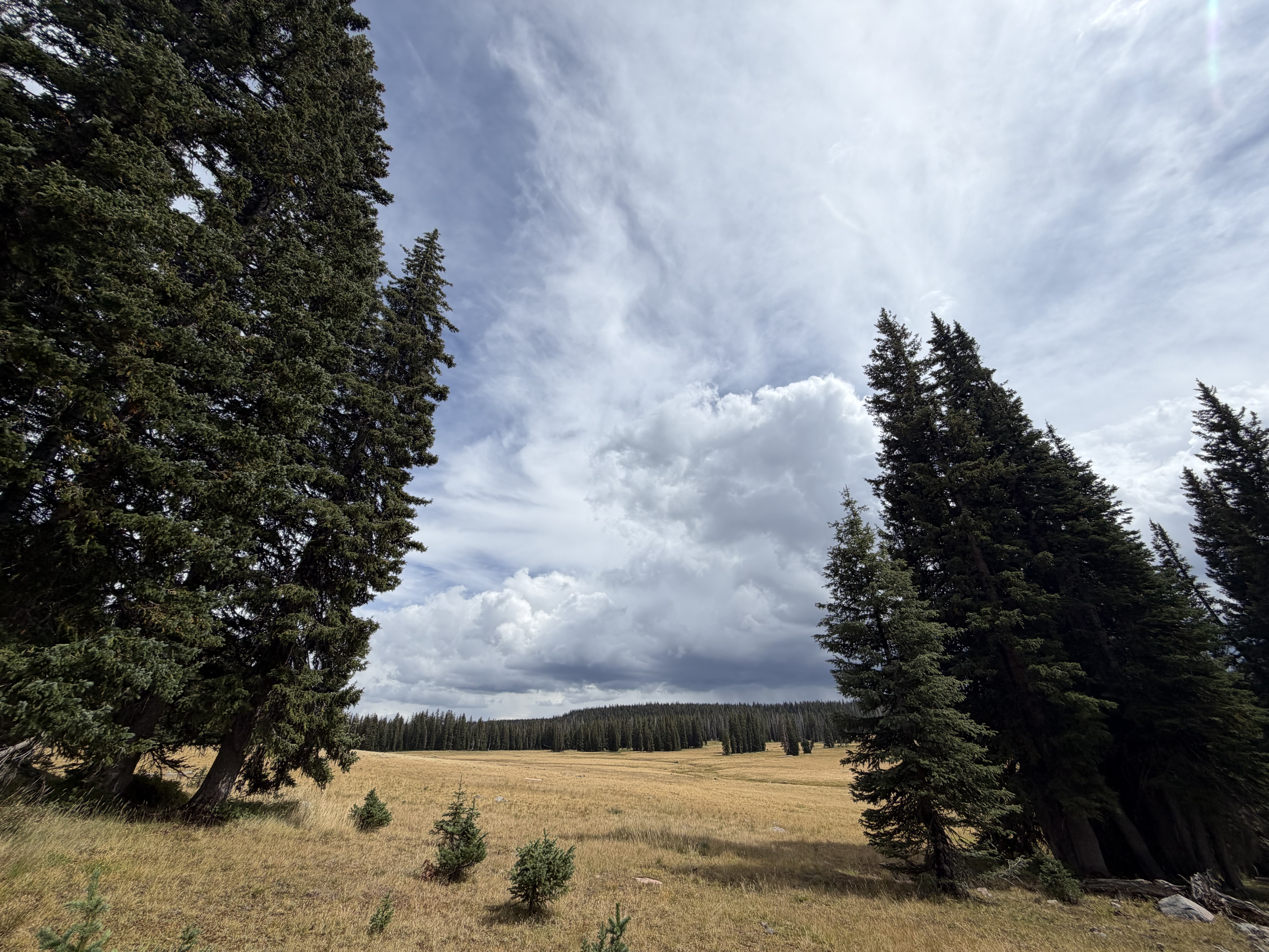 Huston Park Wilderness