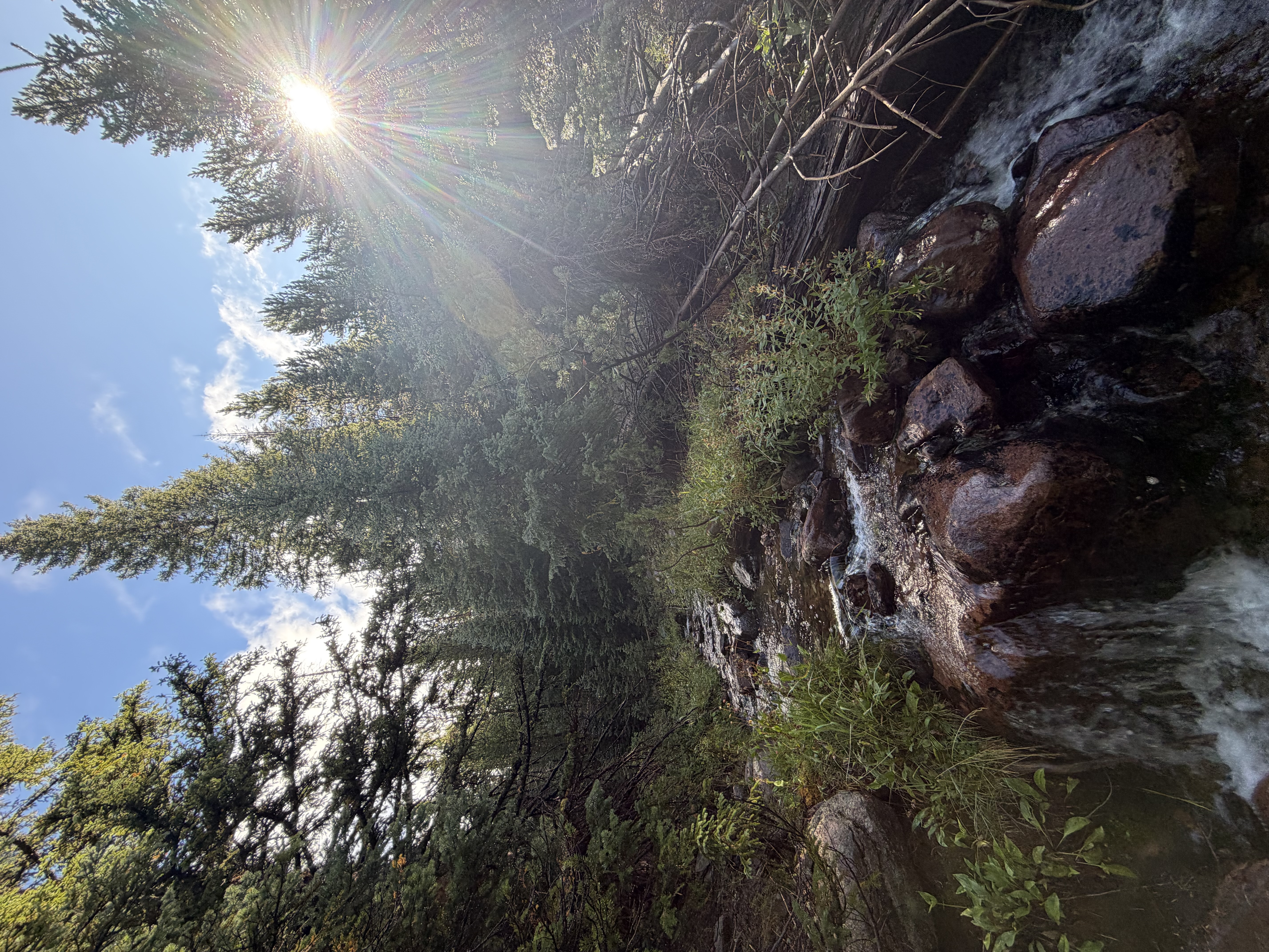 Some charming streams drain the mountains. Wander around off trail to find them.