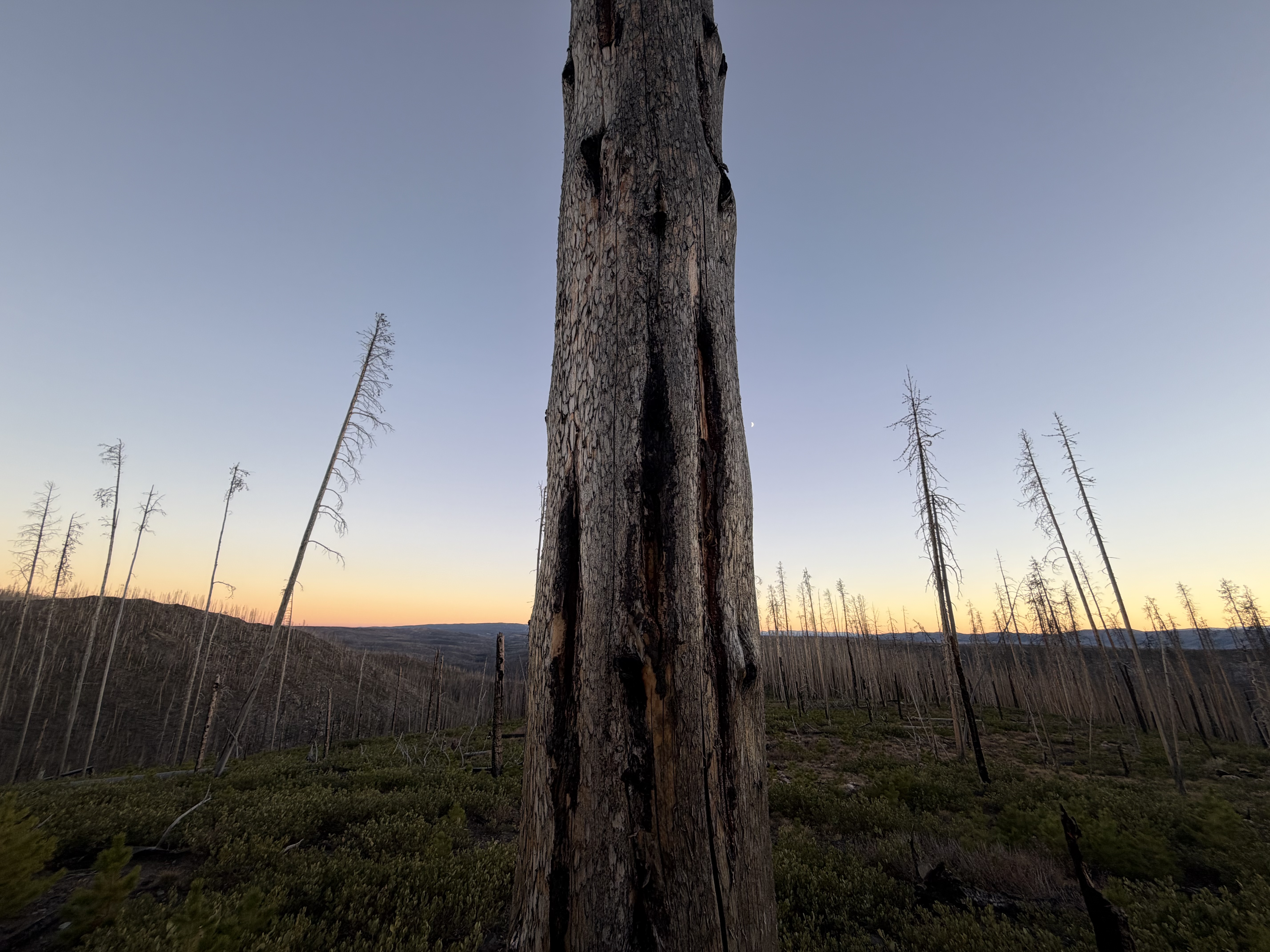 Platte River Wilderness