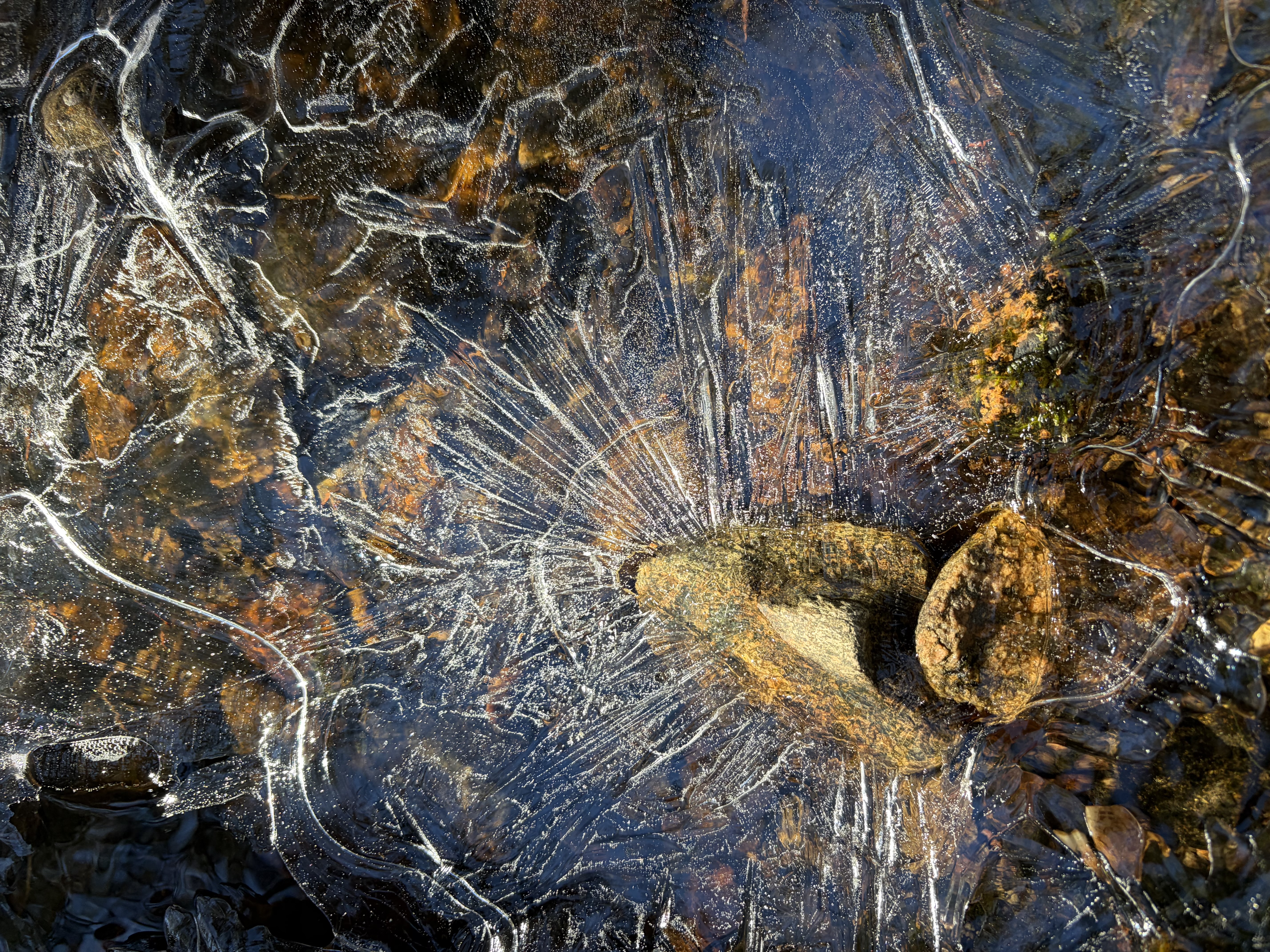 The headwaters of the eponymous stream