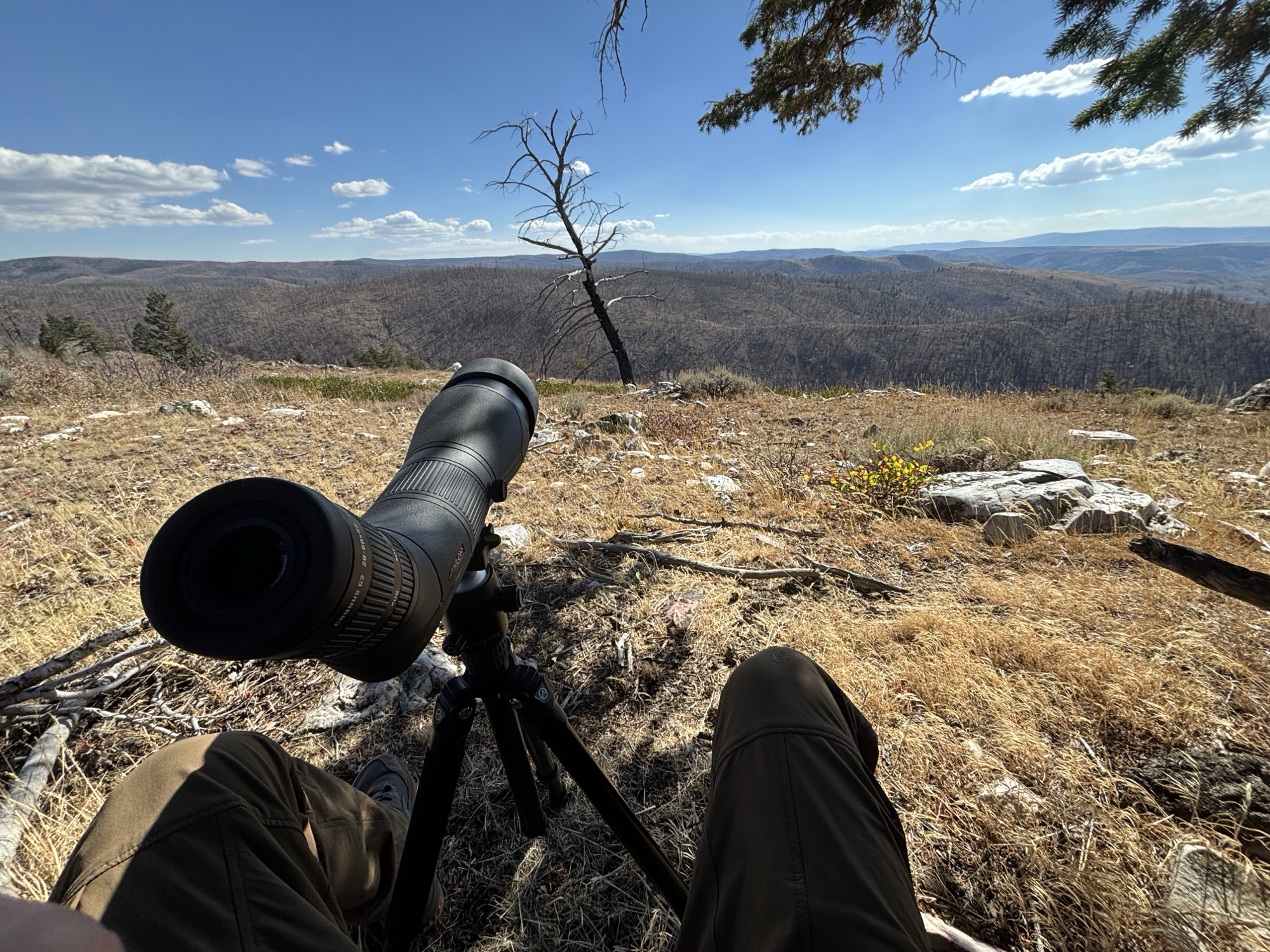 Looking out over a wild corner of the Snowies.