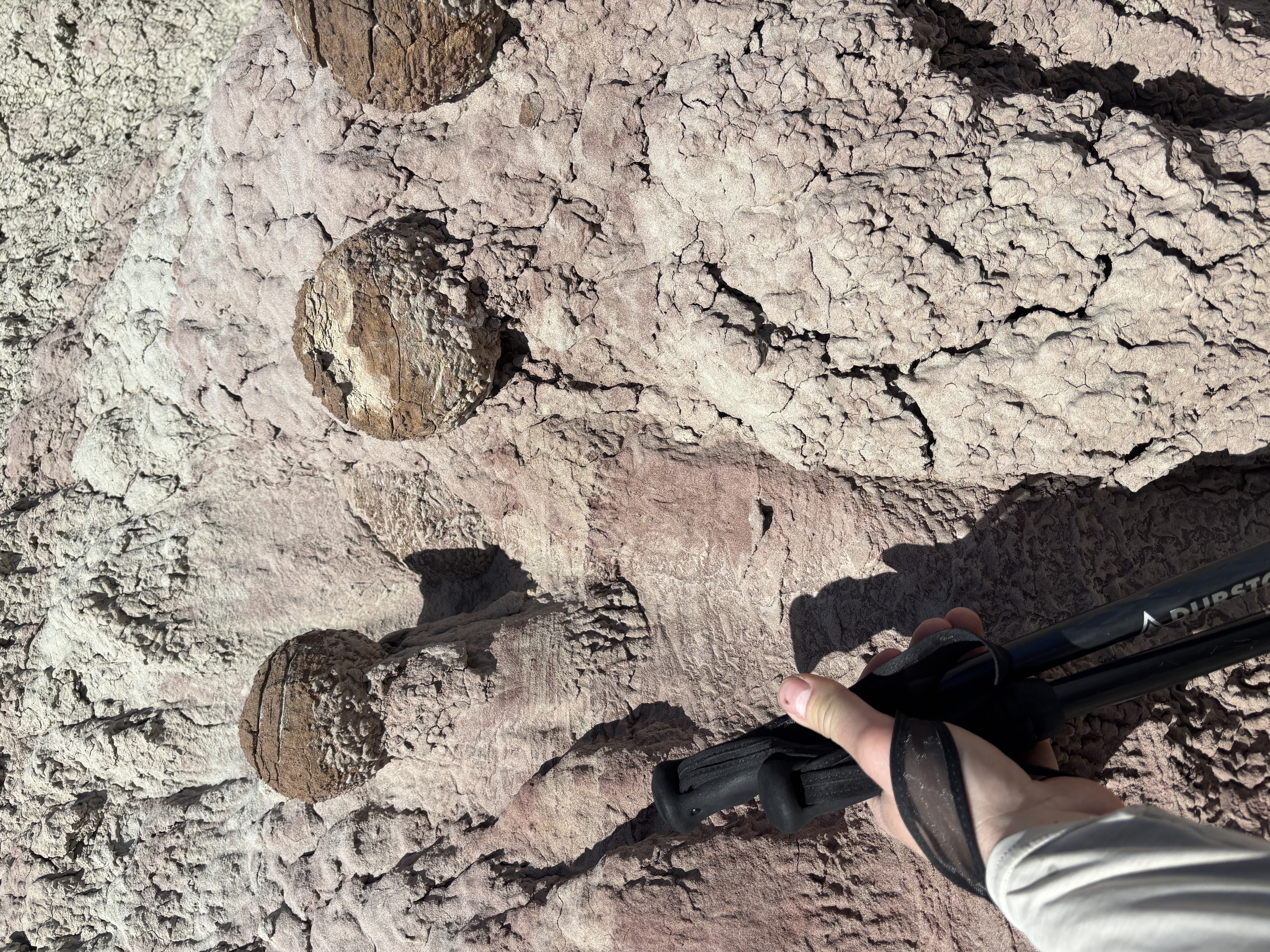 Concretions&ndash;spheres of material that formed around some nucleus in the distant past.