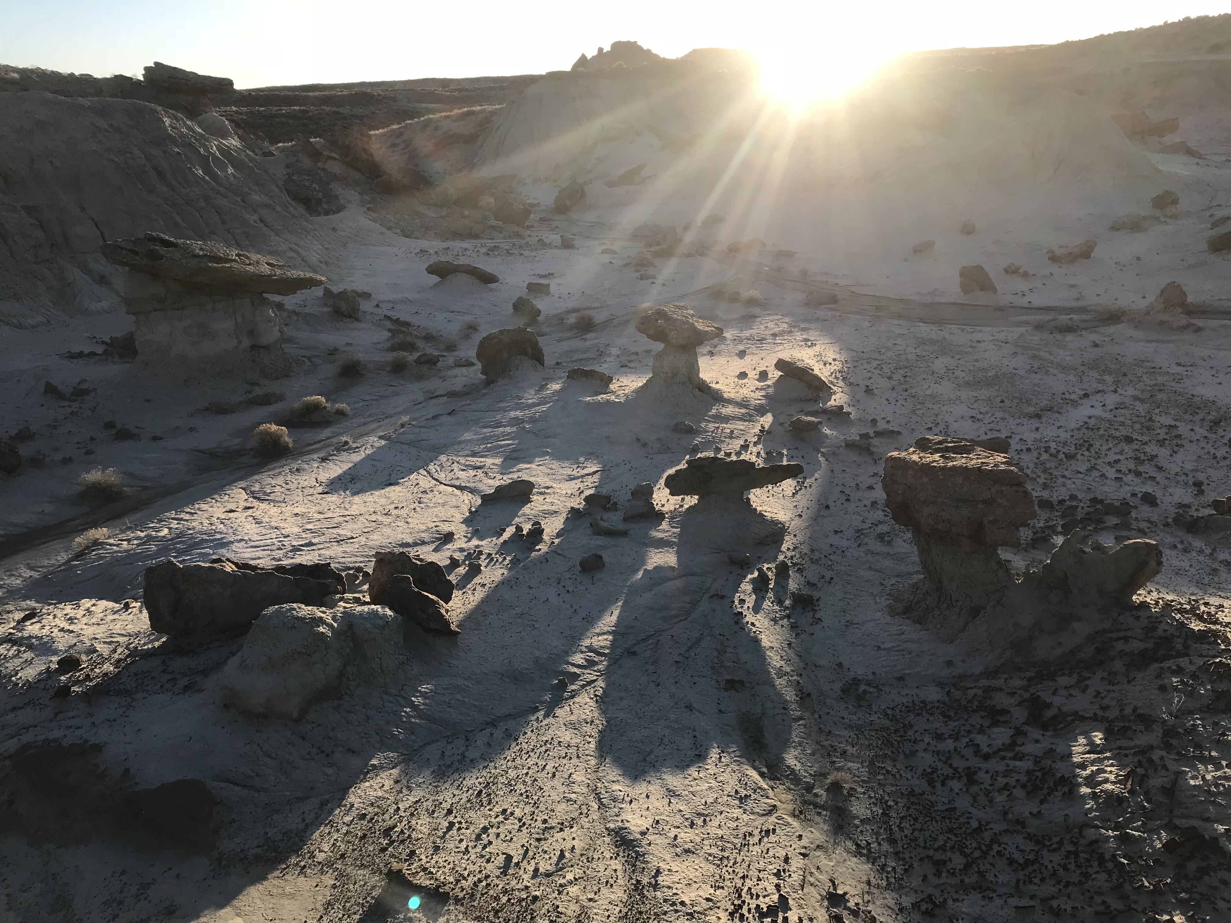 Micro-hoodoos are a defining characteristic here.