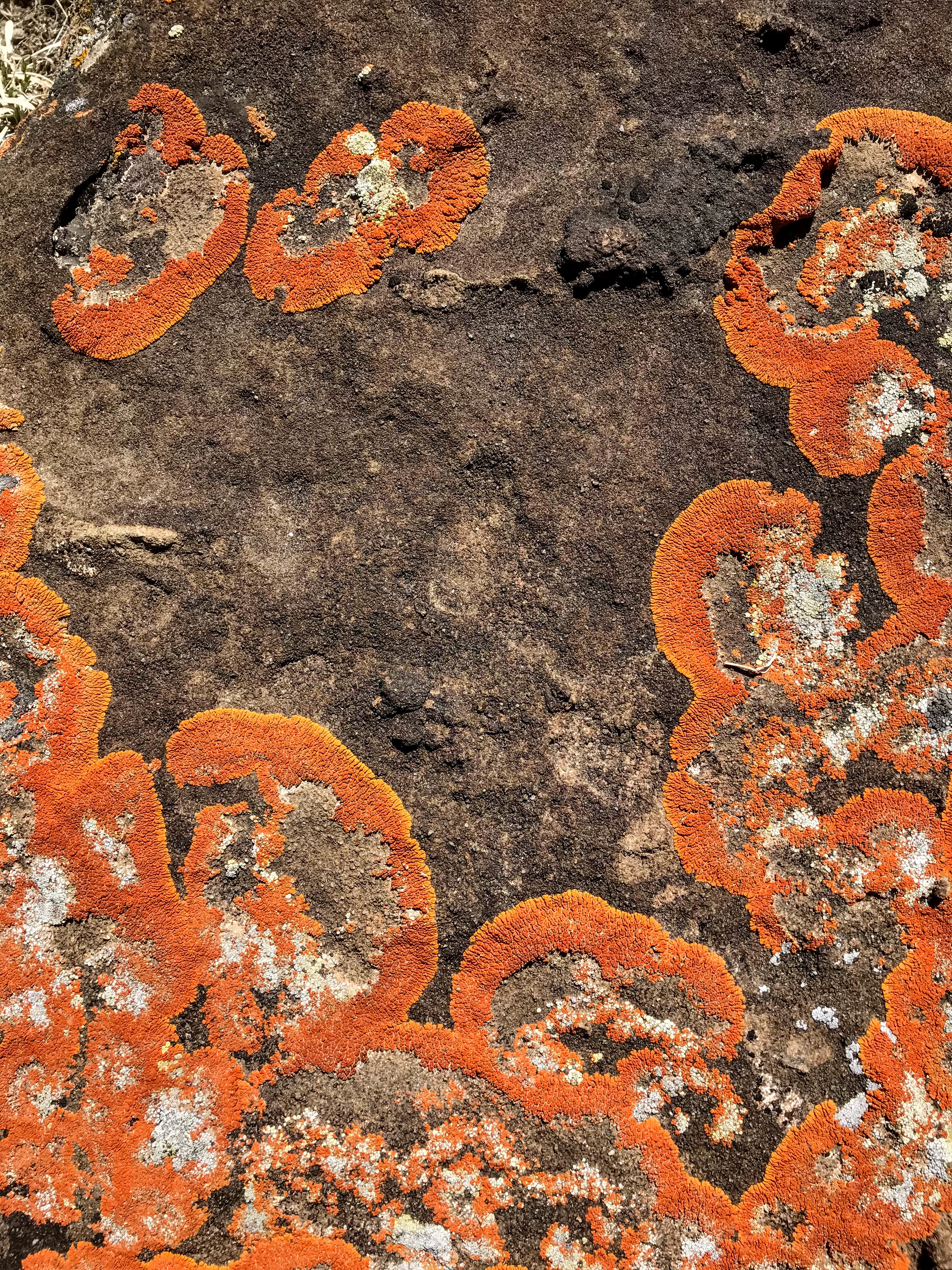 Every rock could be examined for hours