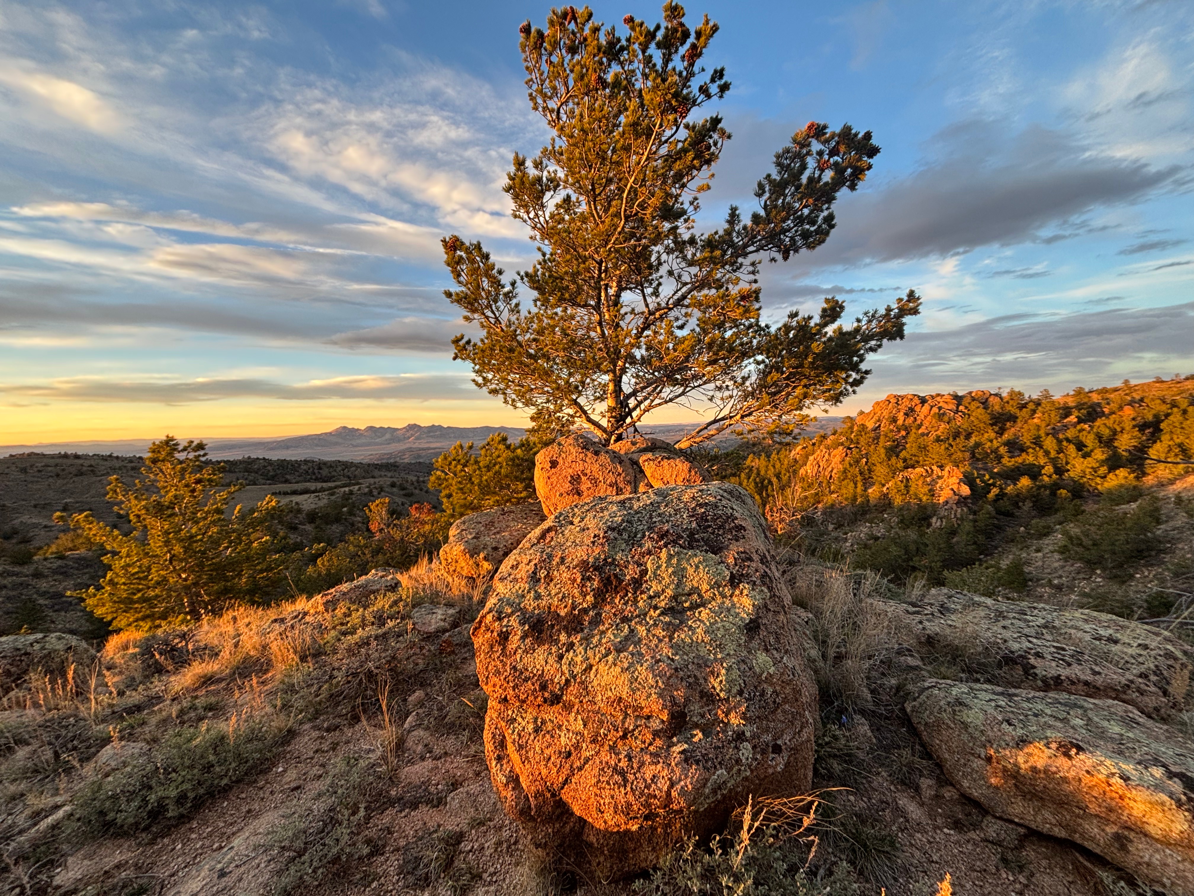 Bennett Mountain WSA
