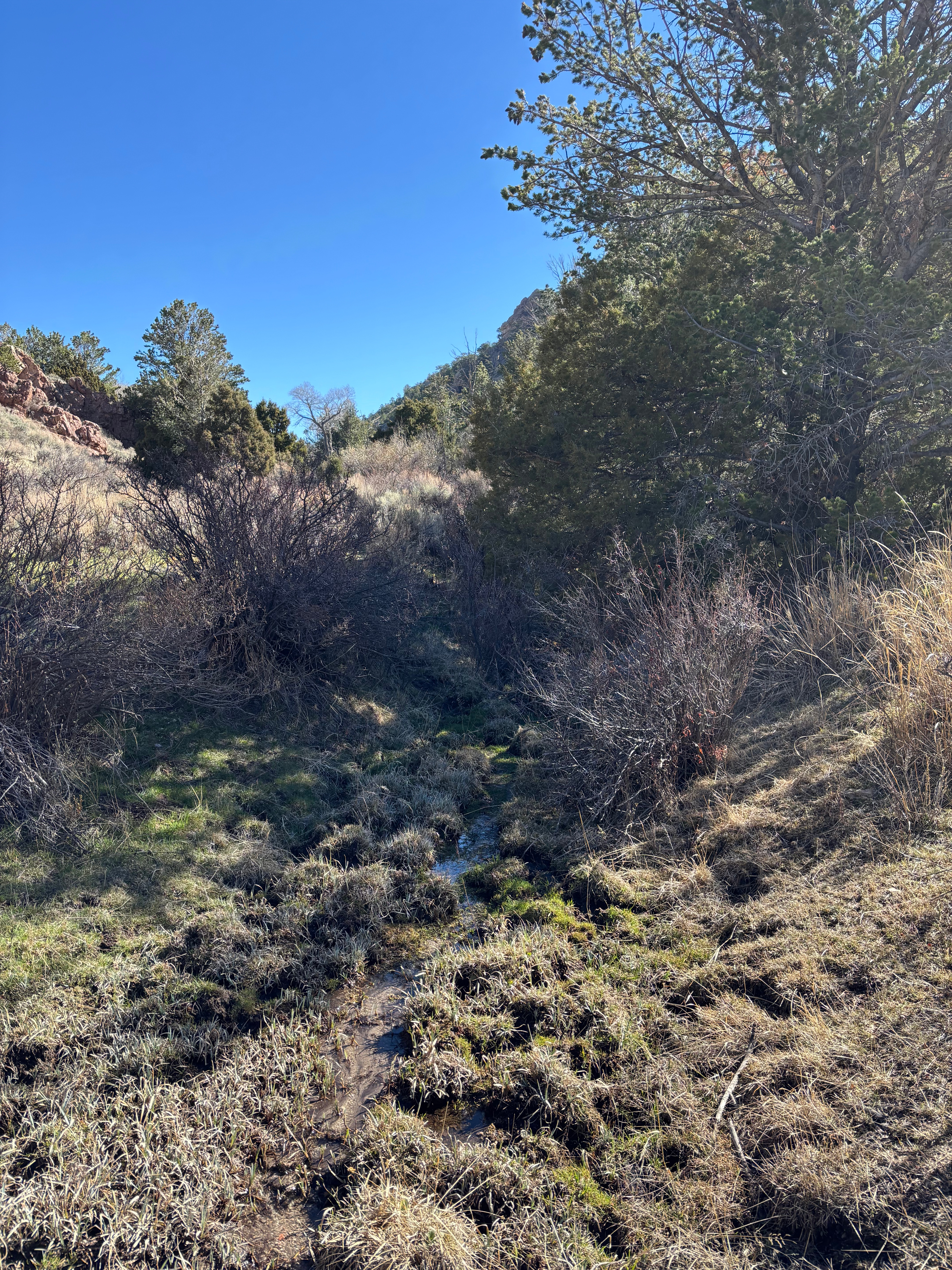 You will be drinking this if you don’t carry water