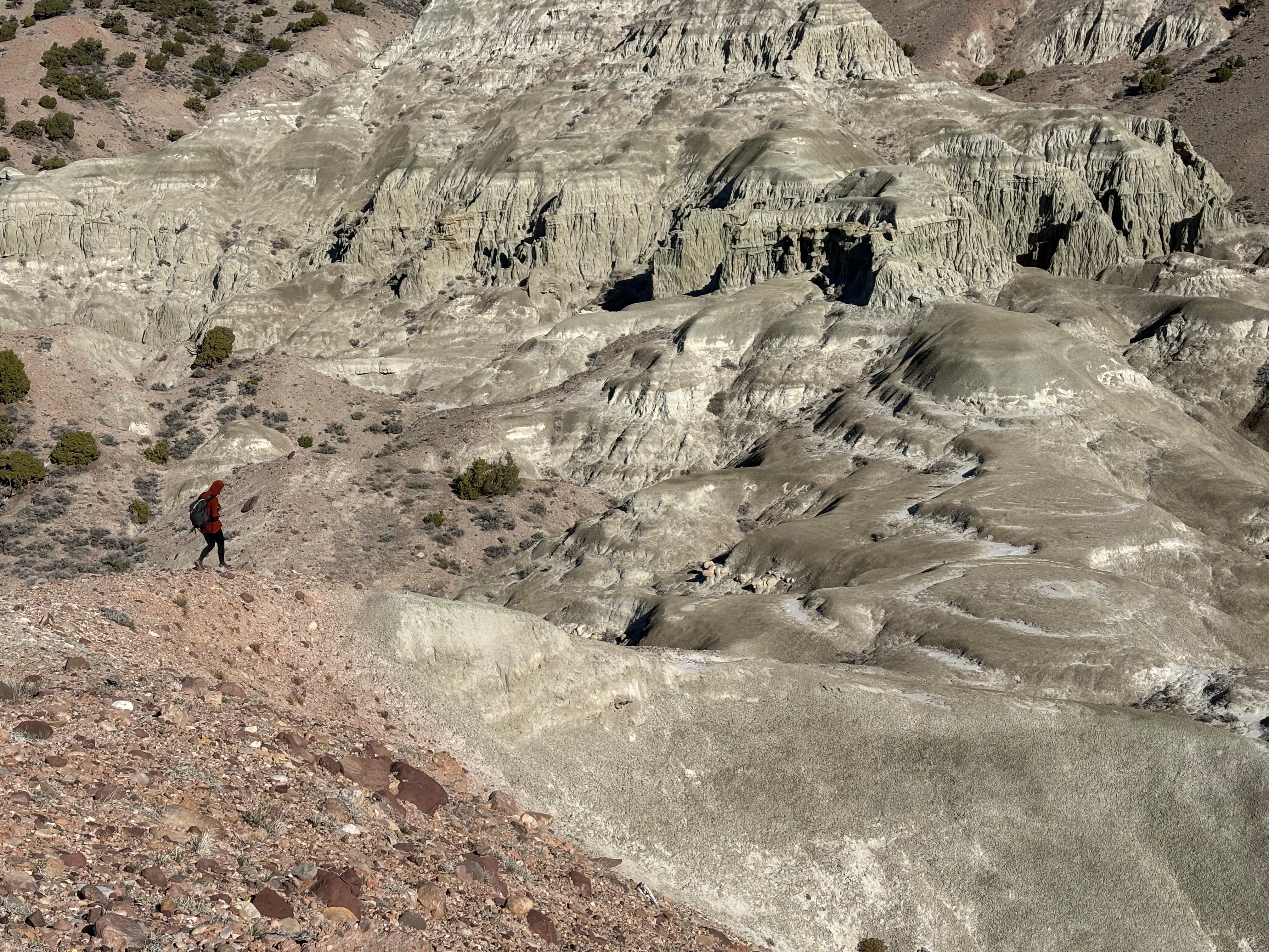 Devil's Playground WSA