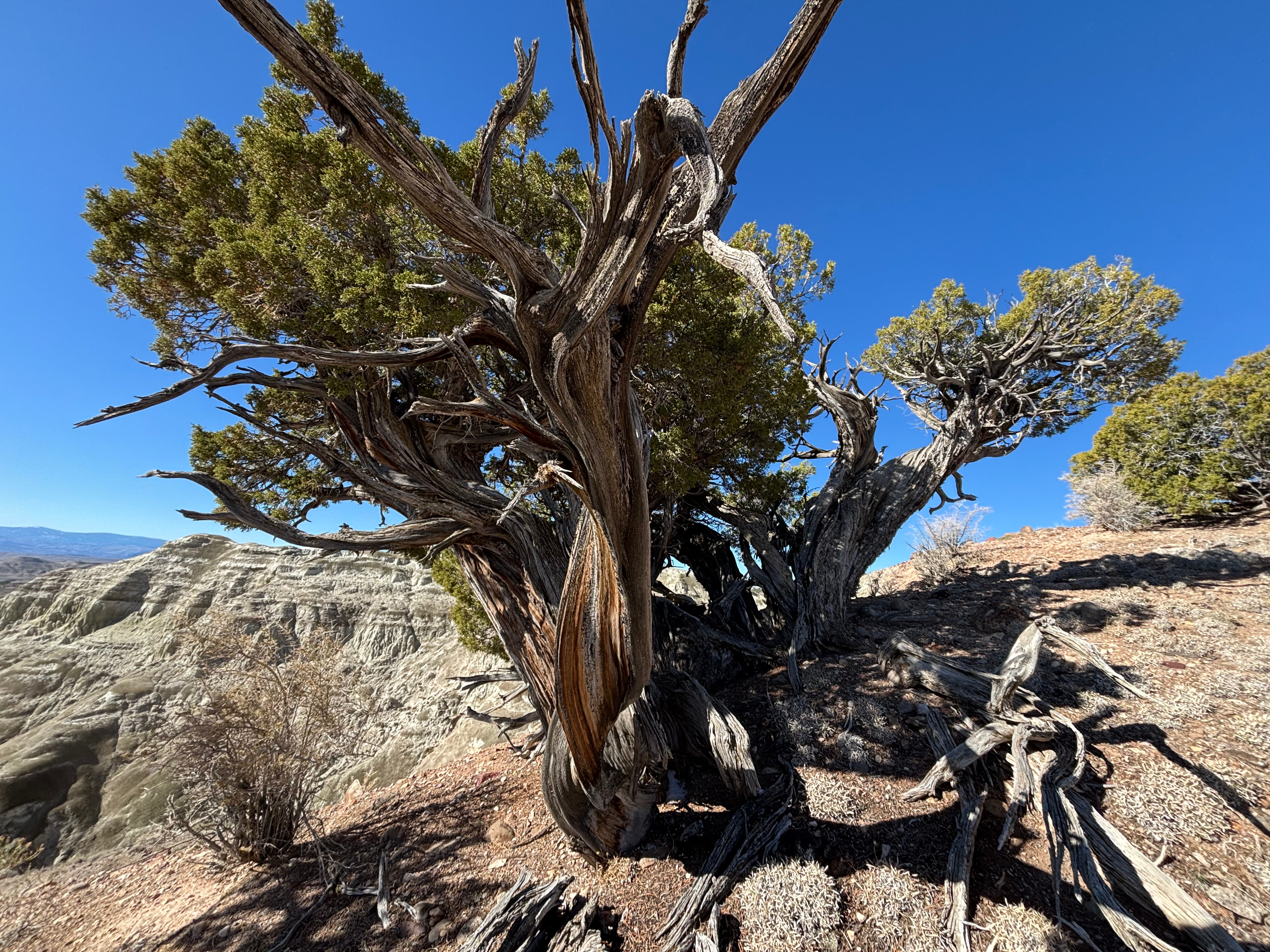 Devil&rsquo;s Playground formations