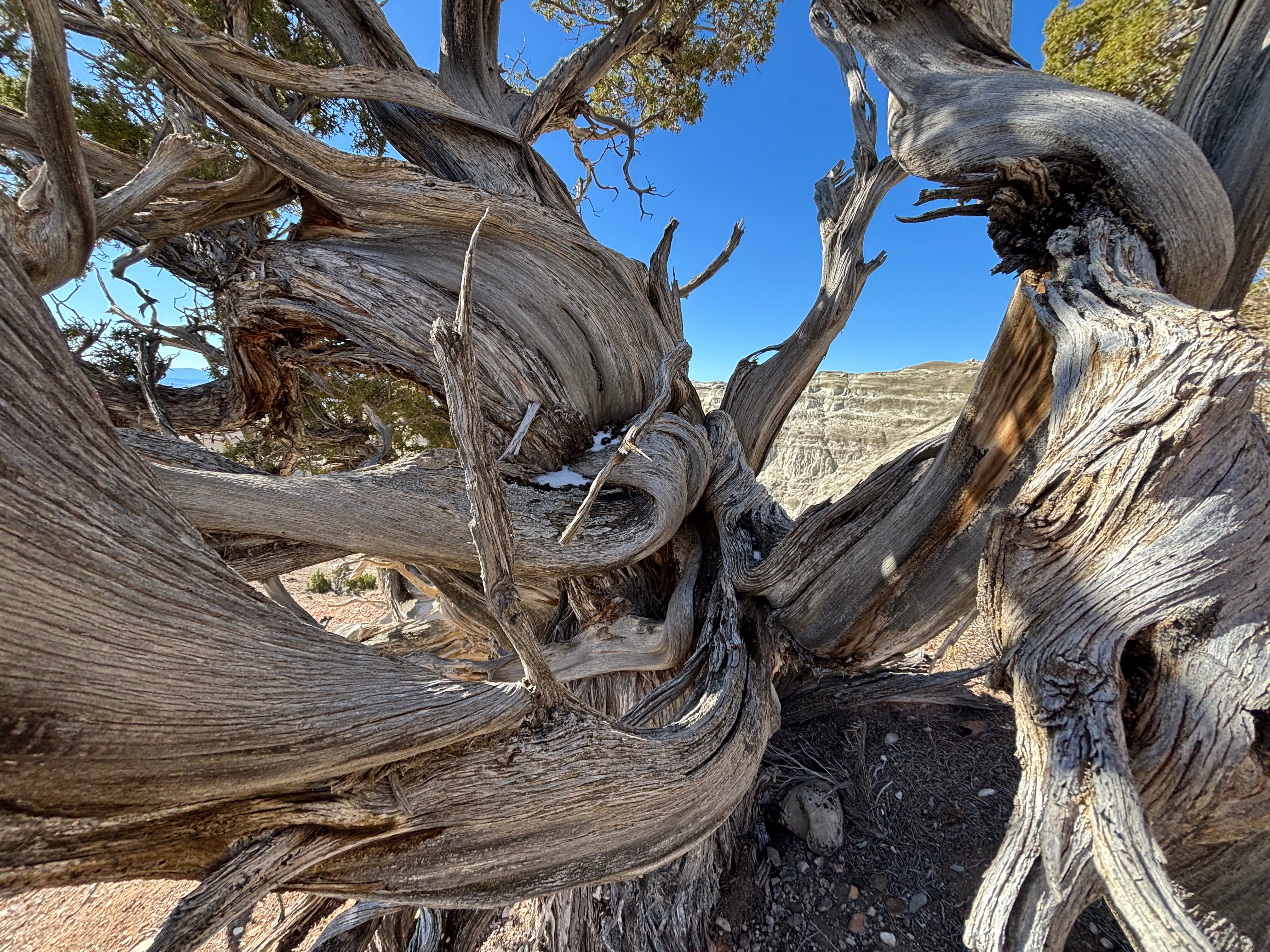 Devil&rsquo;s Playground rocks