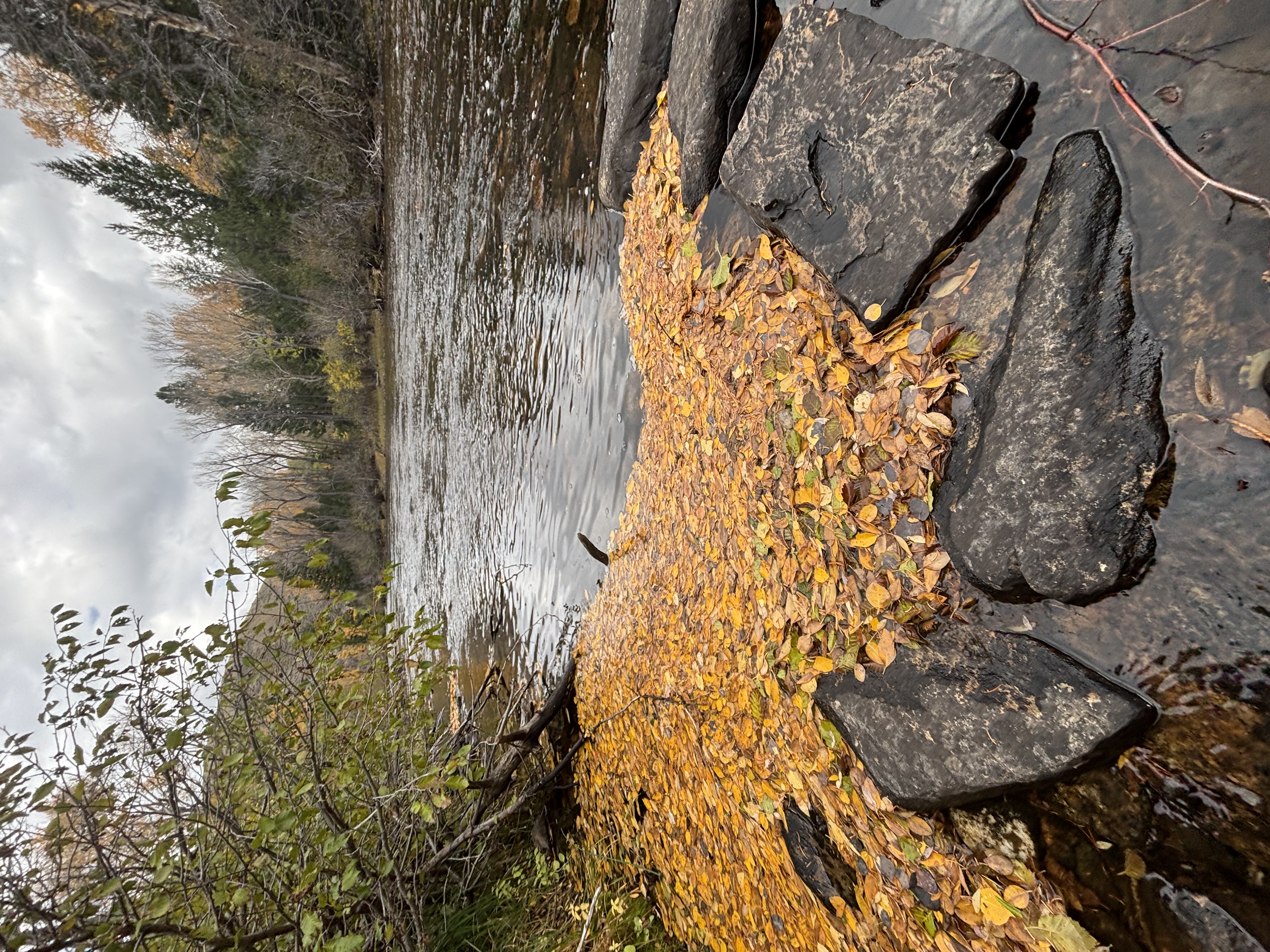 Fall is a good time to be here.