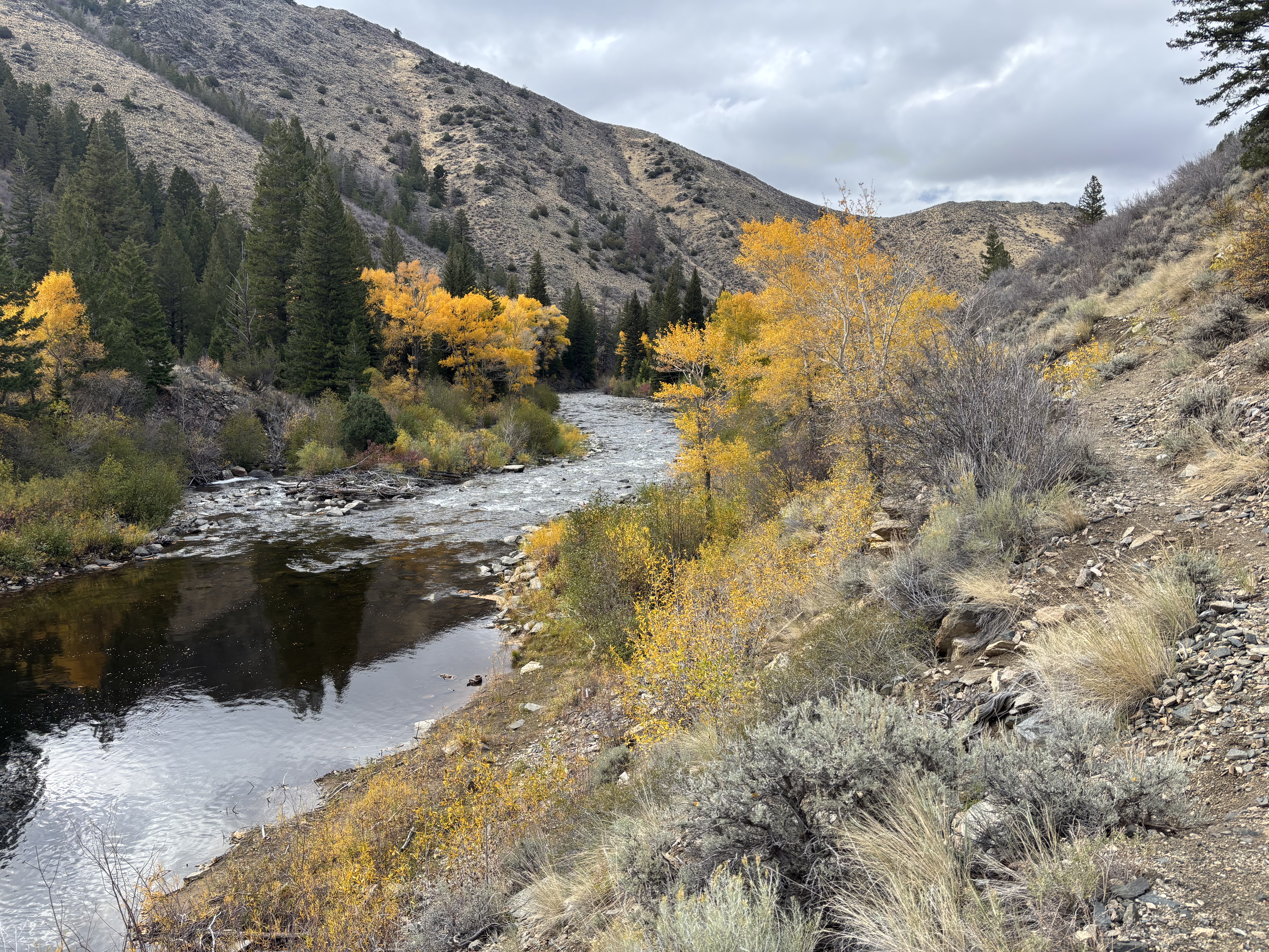 Still waters near an old impoundment of some sort