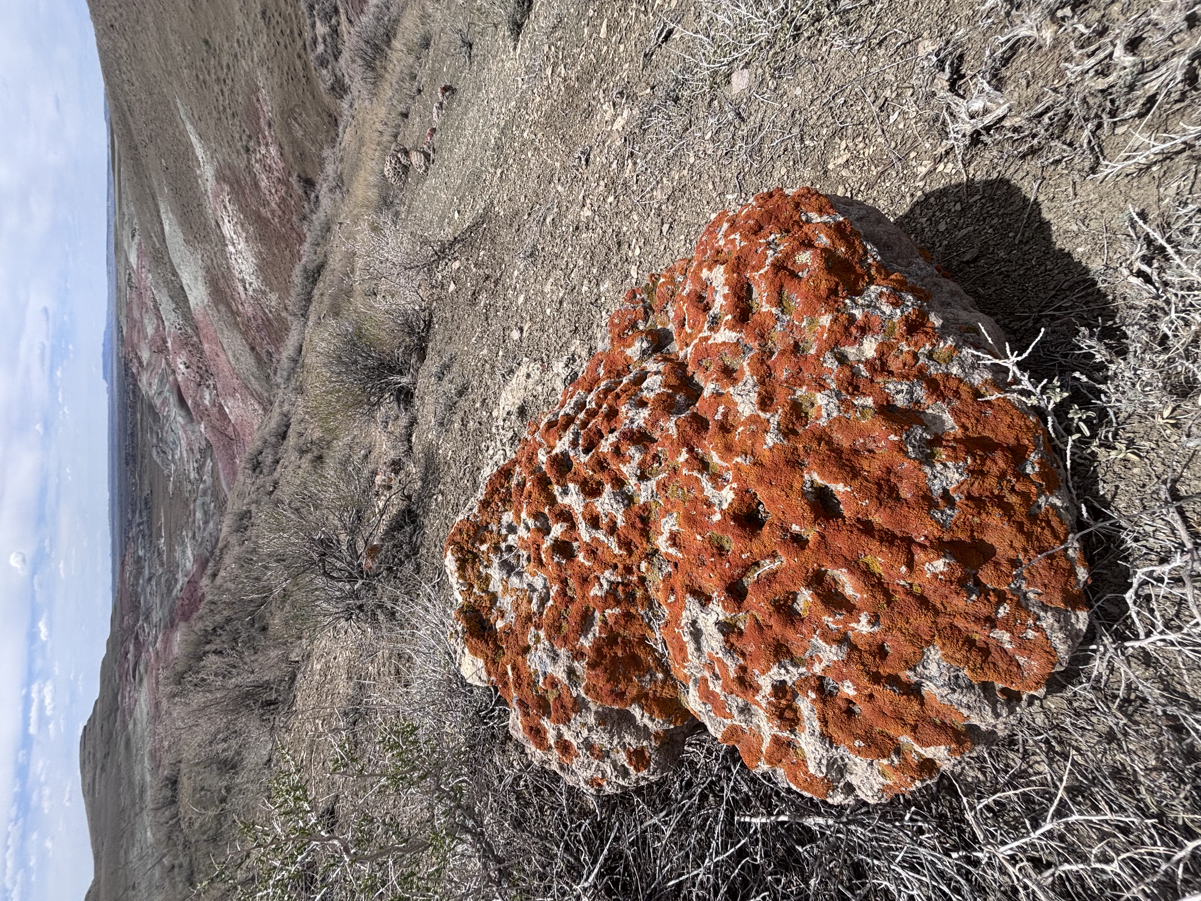 Hidden in the heart of the buttes you will find pockmarked rocks. Perhaps the badlands themselves are why this place is called Honeycomb Buttes… but I think it might be these rocks.