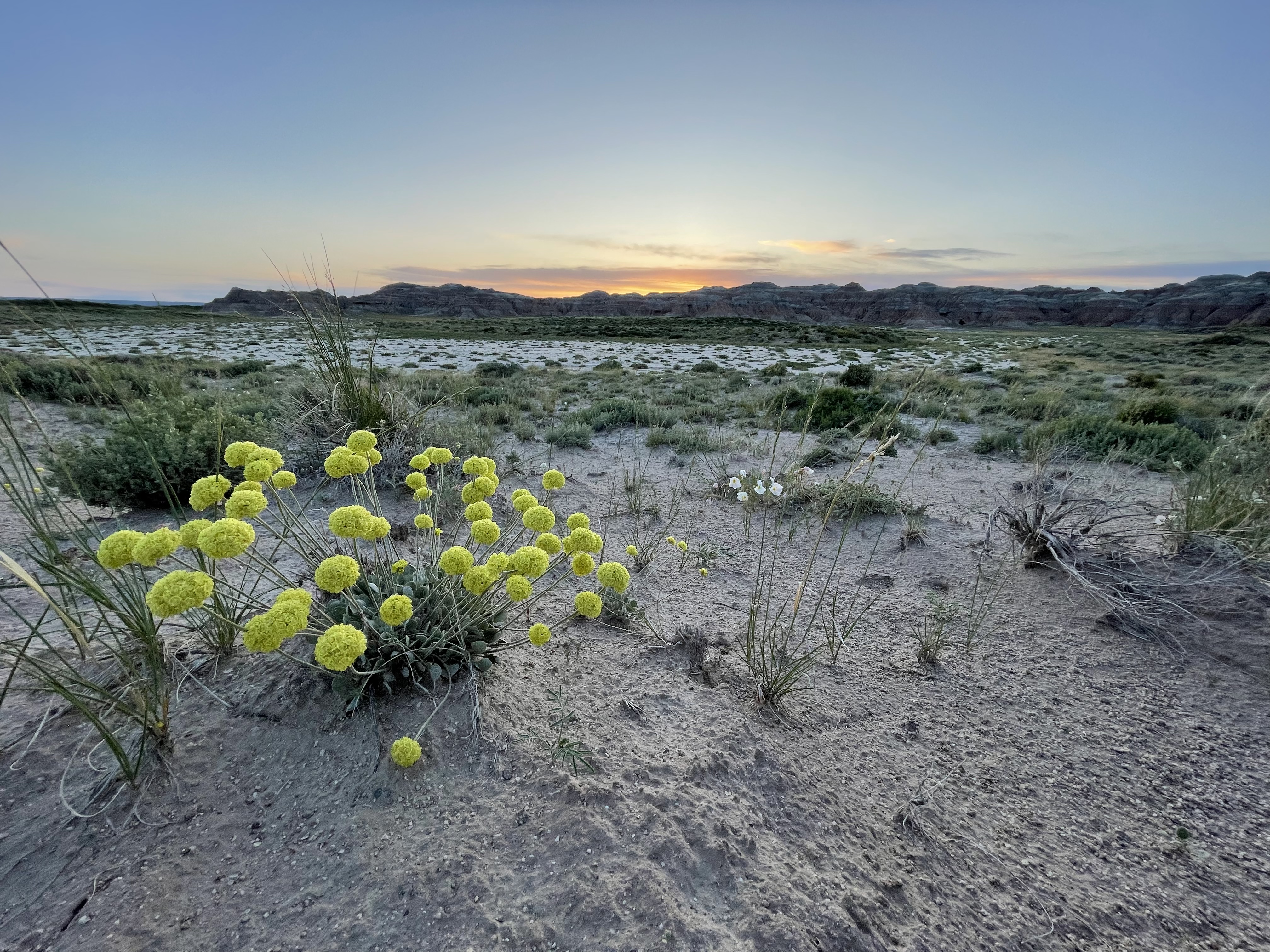 Honeycomb Buttes WSA