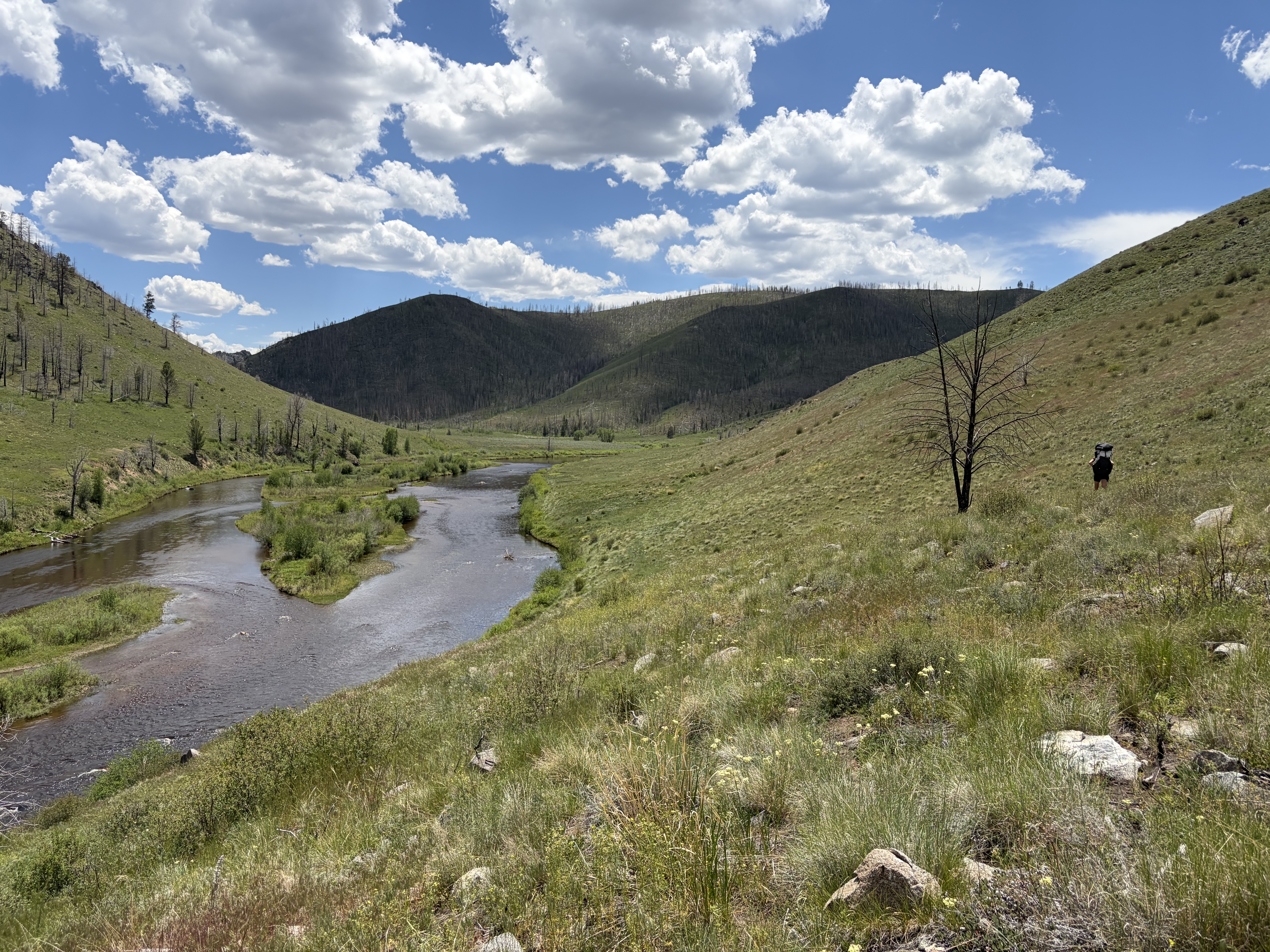 Prospect Mountain WSA
