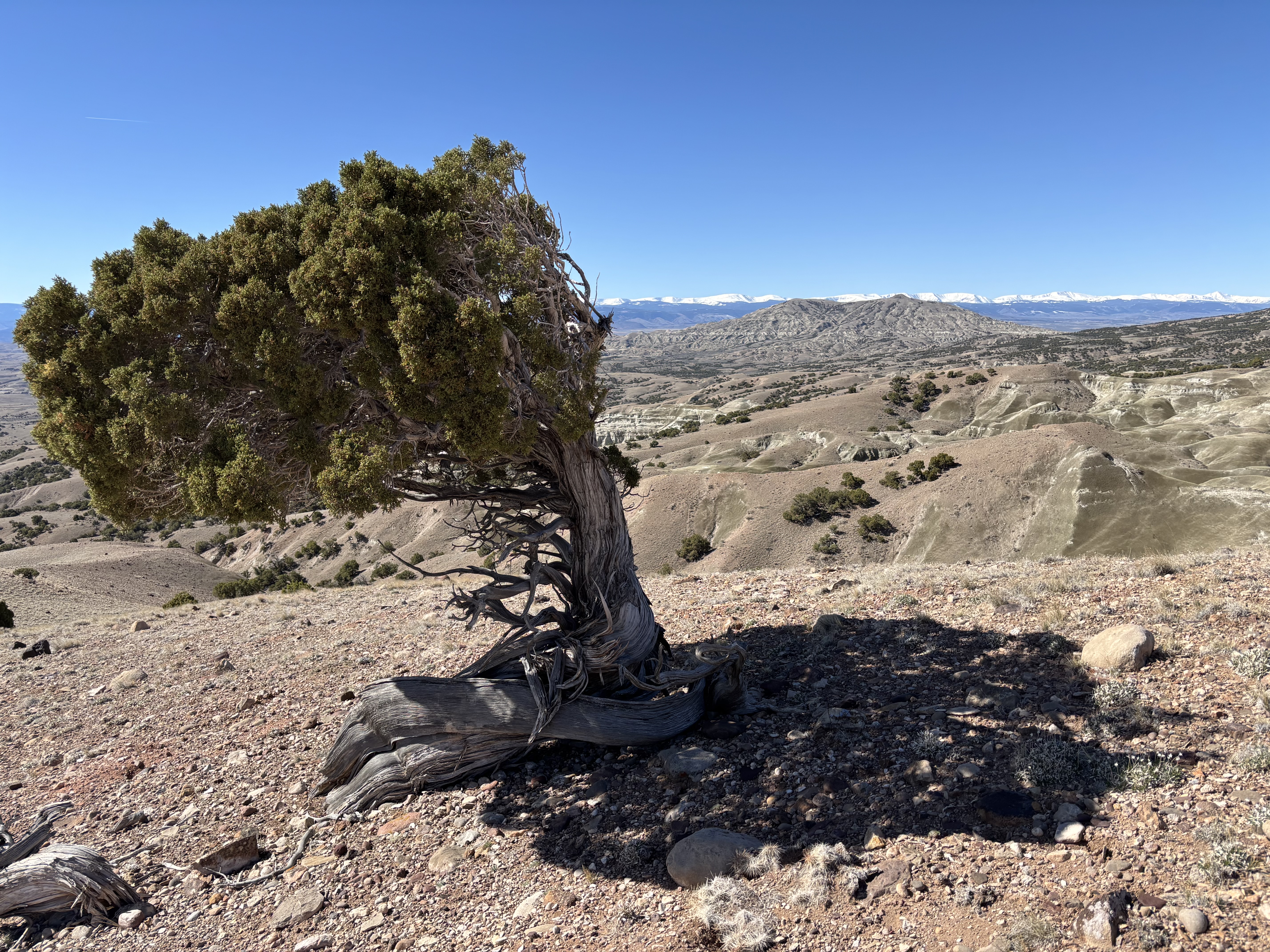 Twin Buttes WSA