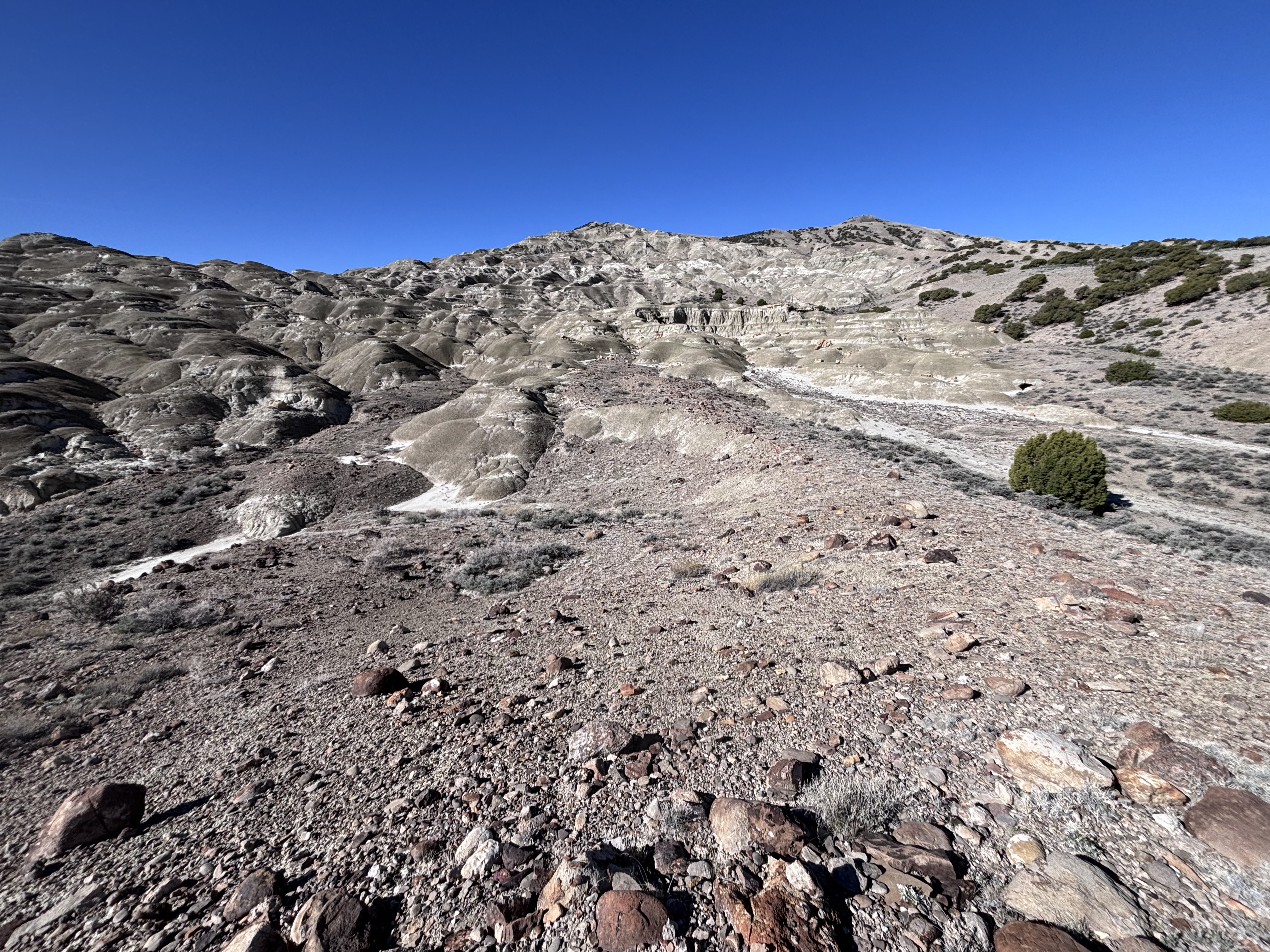 Twin Buttes from the bottom. It is steeper than it looks, though not too steep.