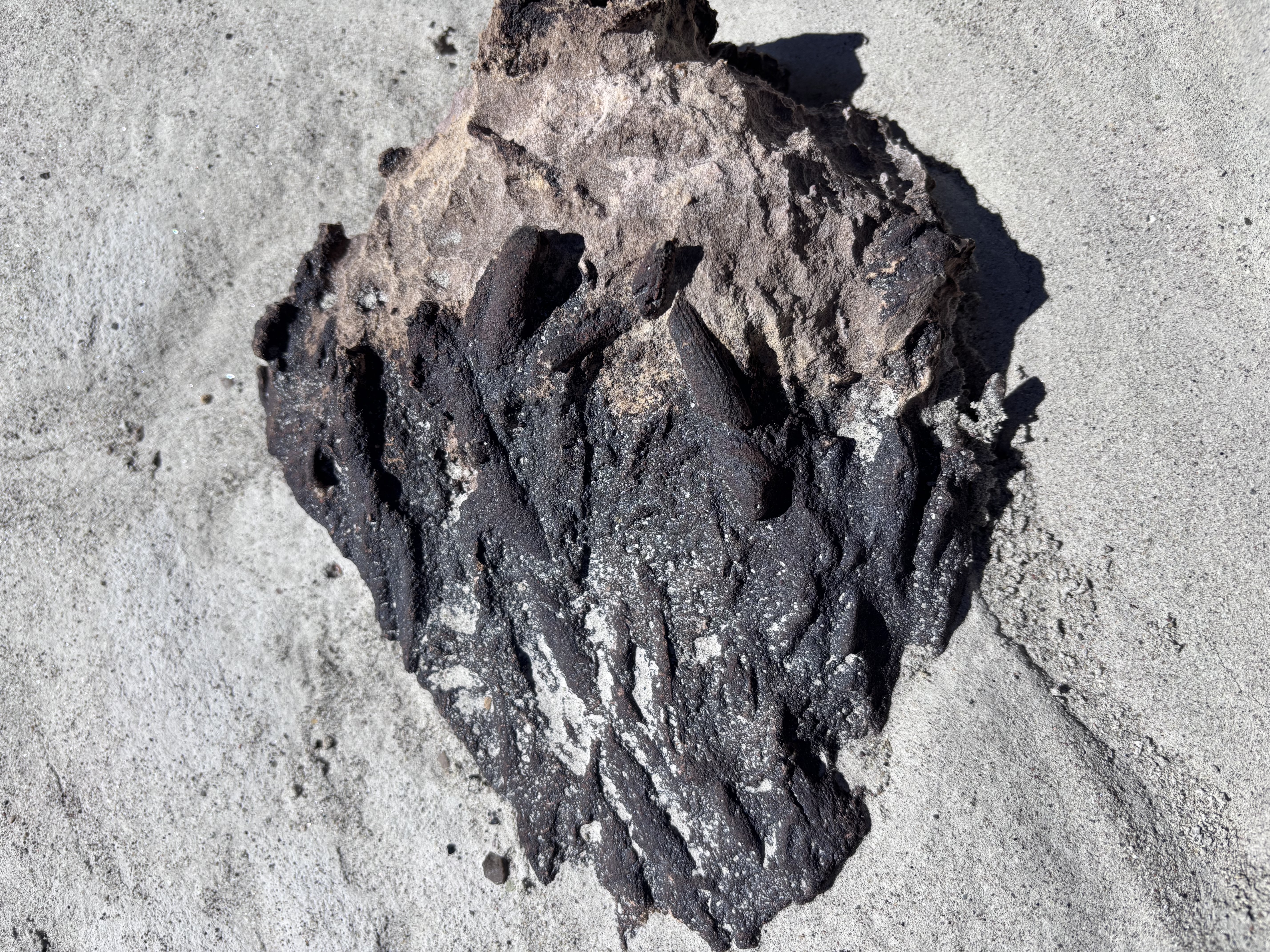 Fossils can be found throughout the area